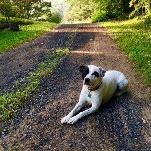 C28FC4B8-83ED-4559-814D-09EF0071DB1C