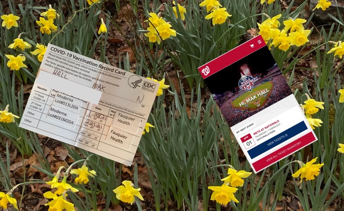 Spring, Covid, The Nats and&nbsp;Renewal