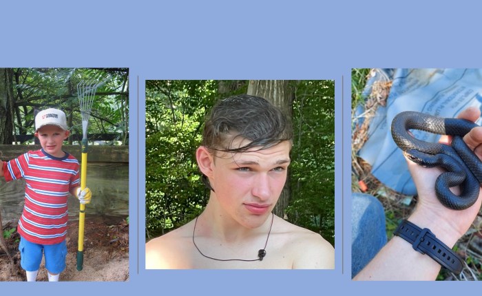 Why it had to be Snakes …&nbsp;Maybe