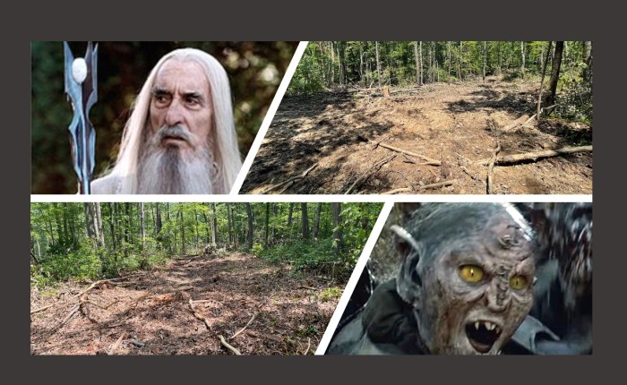 Saruman’s Orcs and the Woods Next&nbsp;Door