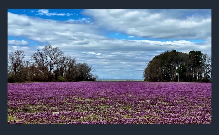 The Palette of Our&nbsp;Life