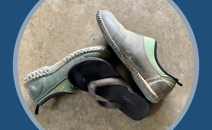 Kylie, The Shoe&nbsp;Thief