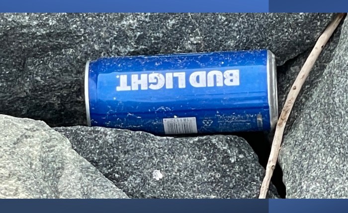 Judgement of Tilghman